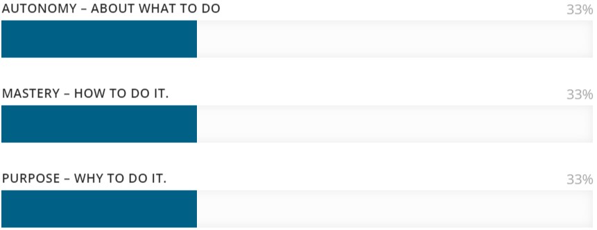 Intrinsic motivation progress bar